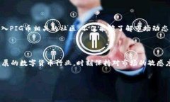 在TP钱包中，为什么找不到